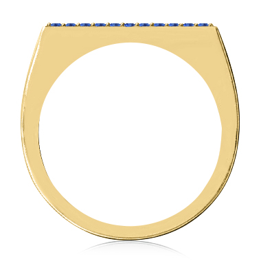 https://www.goldiam.easystockhosting.com/en/sites/default/files/T11307F_yellowgold_sapphire.jpg