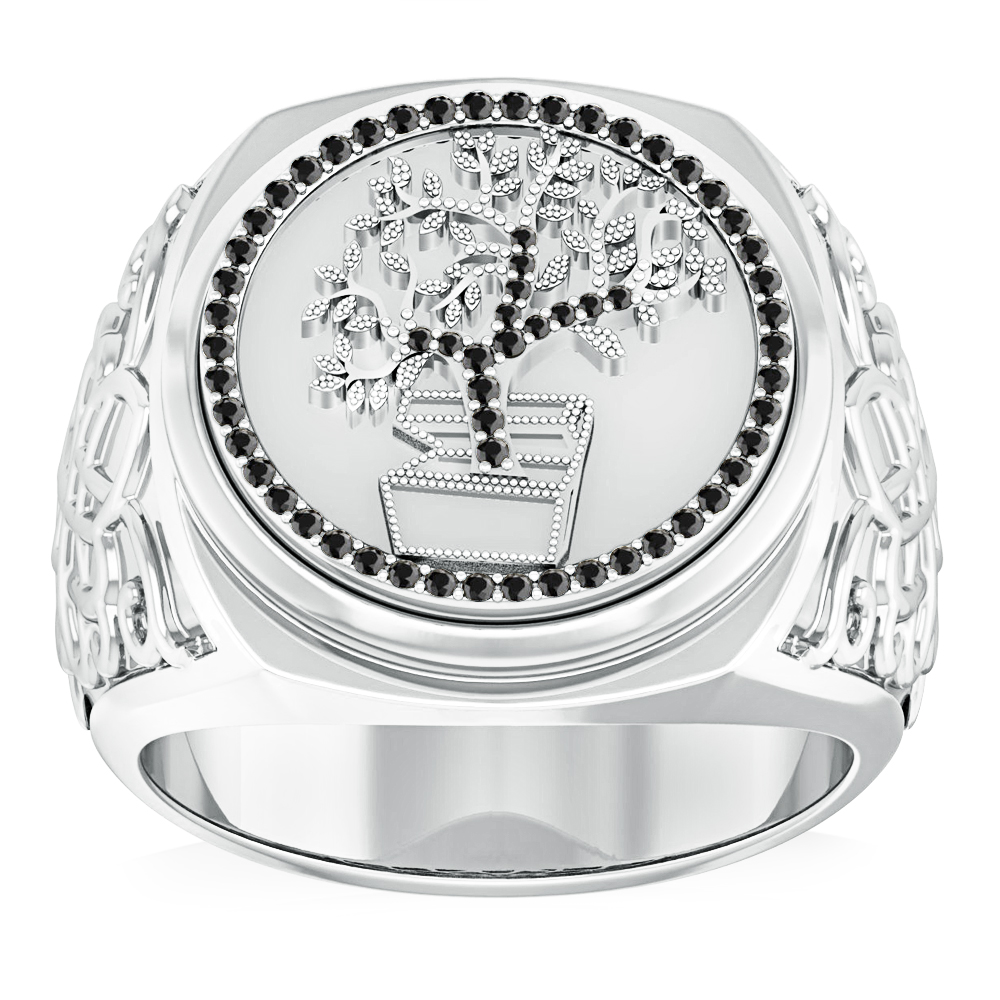 https://www.goldiam.easystockhosting.com/en/sites/default/files/T3302T_whitegold_blackdiamond.jpg