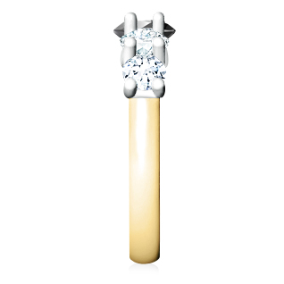 https://www.goldiam.easystockhosting.com/sites/default/files/T4361S_yellow%2526whitegold_blackdiamond.jpg