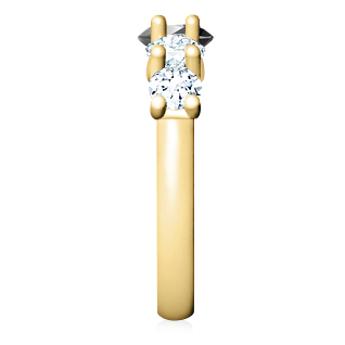 https://www.goldiam.easystockhosting.com/sites/default/files/T4361S_yellowgold_blackdiamond.jpg